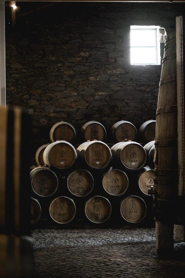 Quinta Sao Luiz The Vine House Douro Tabuaco